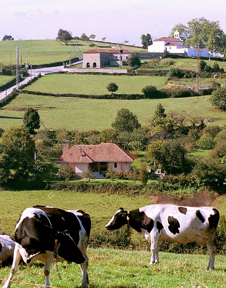 Una ruta circular por la zona rural de Gijón: Santurio