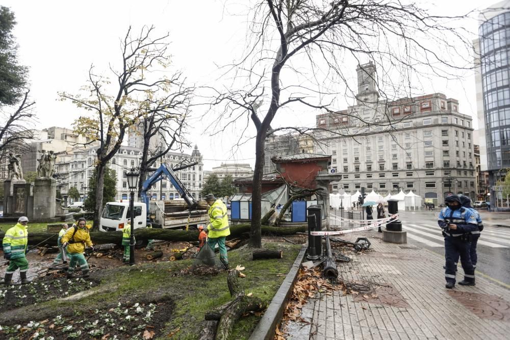 Destrozos en El Escorialín