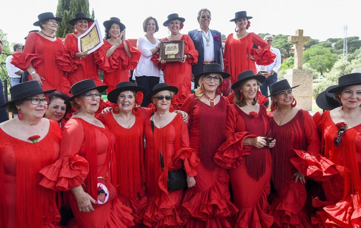 Fotogalería / Romería de Santo Domingo