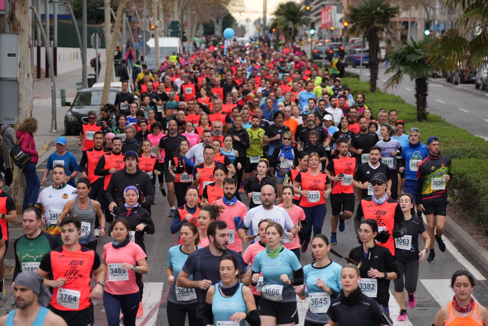 Búscate en las fotos: Las mejores imágenes del Marató bp y el 10K Facsa 2024 de Castelló