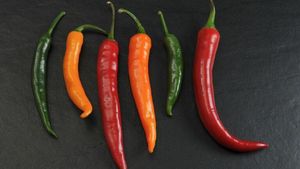 Un pimiento picante y un veneno mortal, utilizados para quitar el dolor