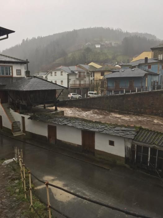 Tiempo en Asturias: Las espectaculares imágenes de las riadas, argayos e incidencias del temporal