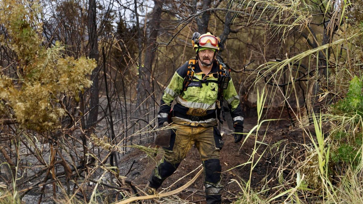 Un operario, en el incendio en El Saler.