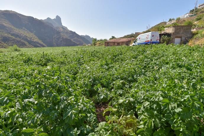 06-09-2018 TEJEDA. Reportaje del catering ...