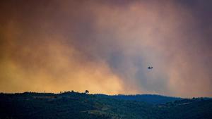 L’incendi de Niebla torna a complicar-se: arriba a les 28.000 hectàrees i s’endinsa en la Pata del Caballo i al municipi d’Aznalcóllar