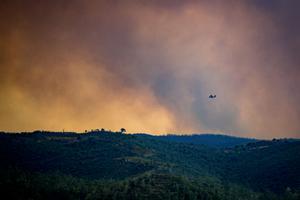 El incendio de Niebla (Huelva) ha llegado al municipio de Aznalcóllar (Sevilla)