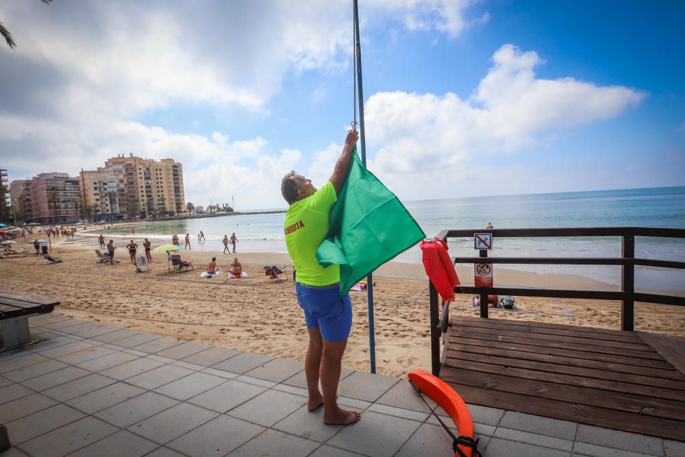 Primer día de baño autorizado en las playas de Torrevieja con arena parcelada y controles de acceso