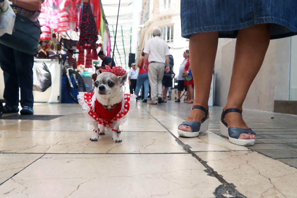 Divertidas imágenes del último día de Feria en el Centro.