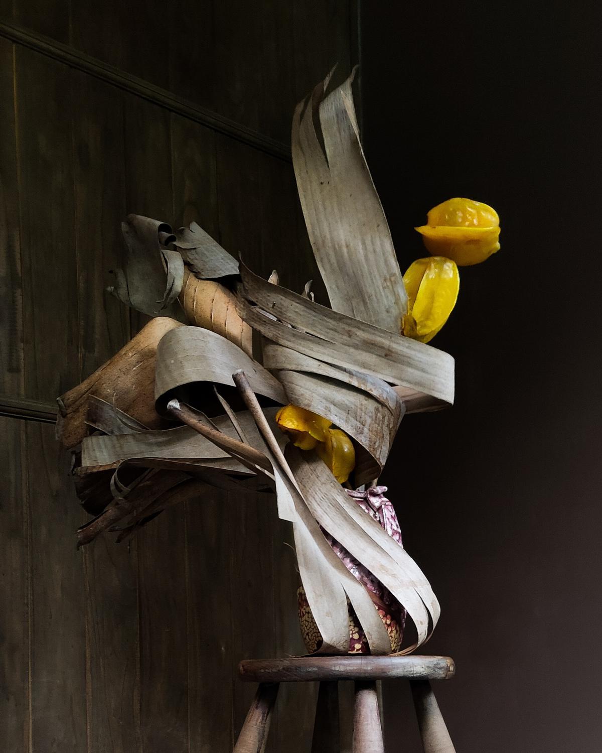 Obra de Mas Rasa.