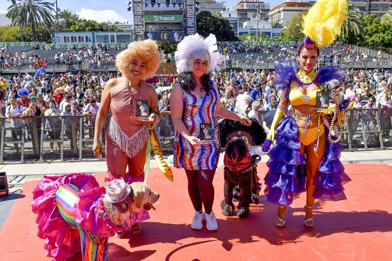 Carnaval 2023: Carnaval canino