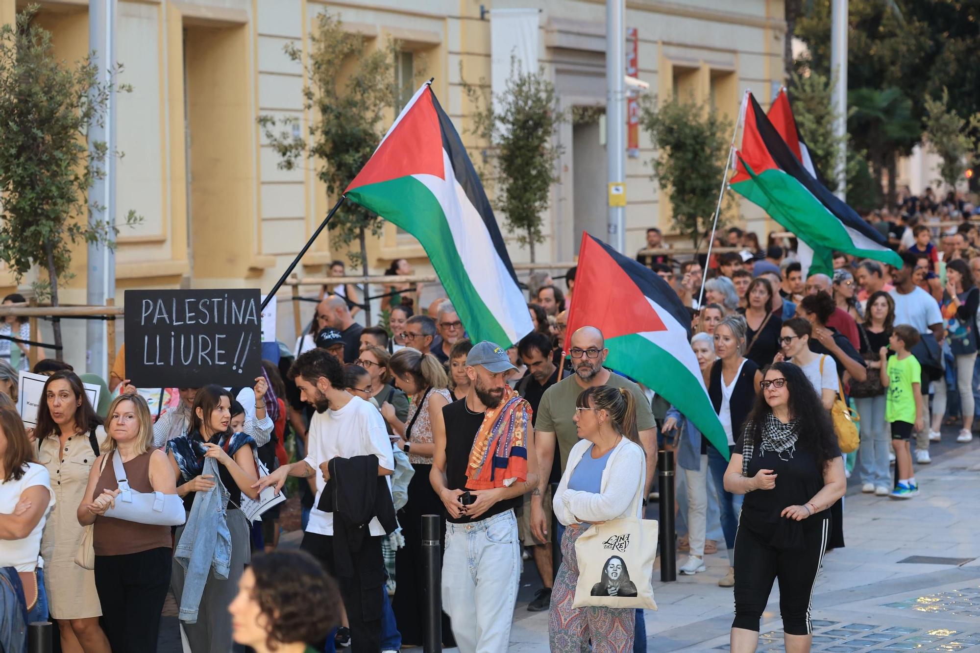 Galería de imágenes: Castellón sale a la calle en defensa de Palestina