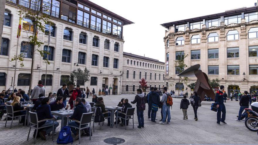 La UPV de Alcoy estudia depurar el agua con sustancias orgánicas para conseguir más calidad en el regadío