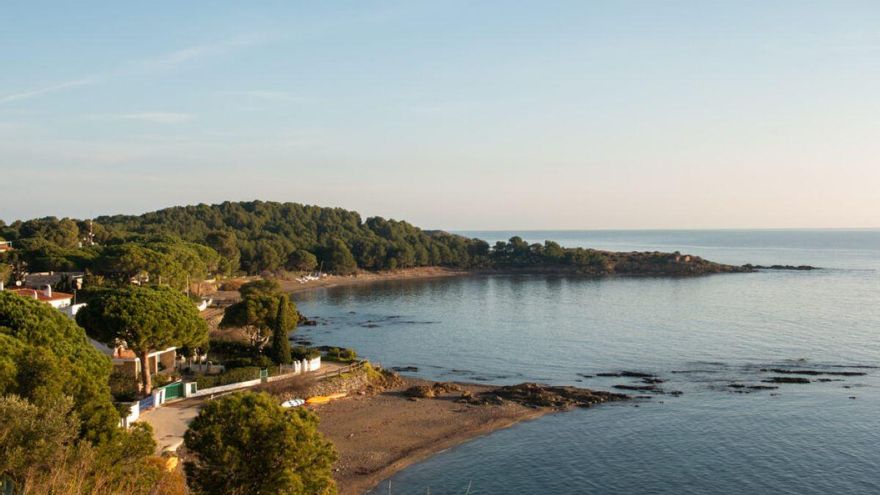Llançà difon una iniciativa per restaurar la posidònia a l&#039;Albera Marítima