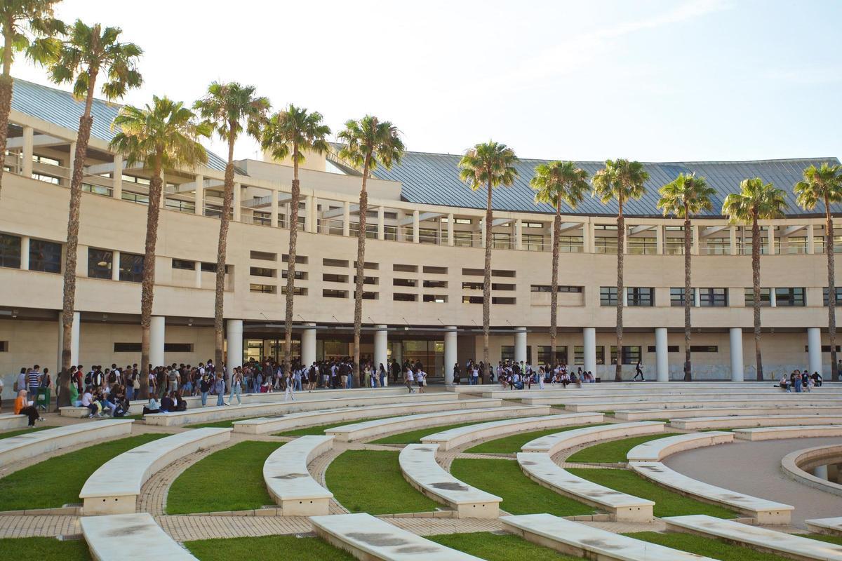 Los títulos oficiales de máster que oferta la Universidad de Alicante