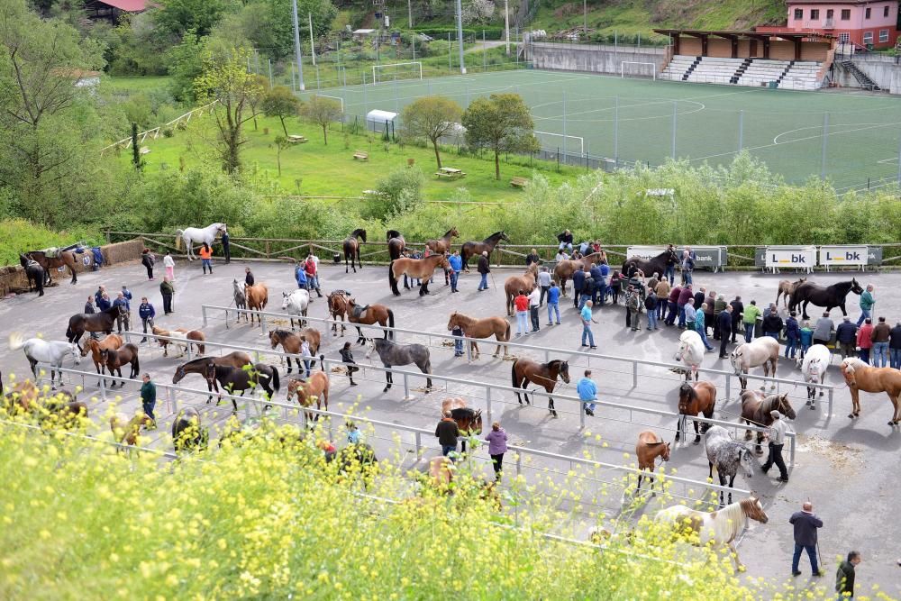 Feria del caballo de Riosa