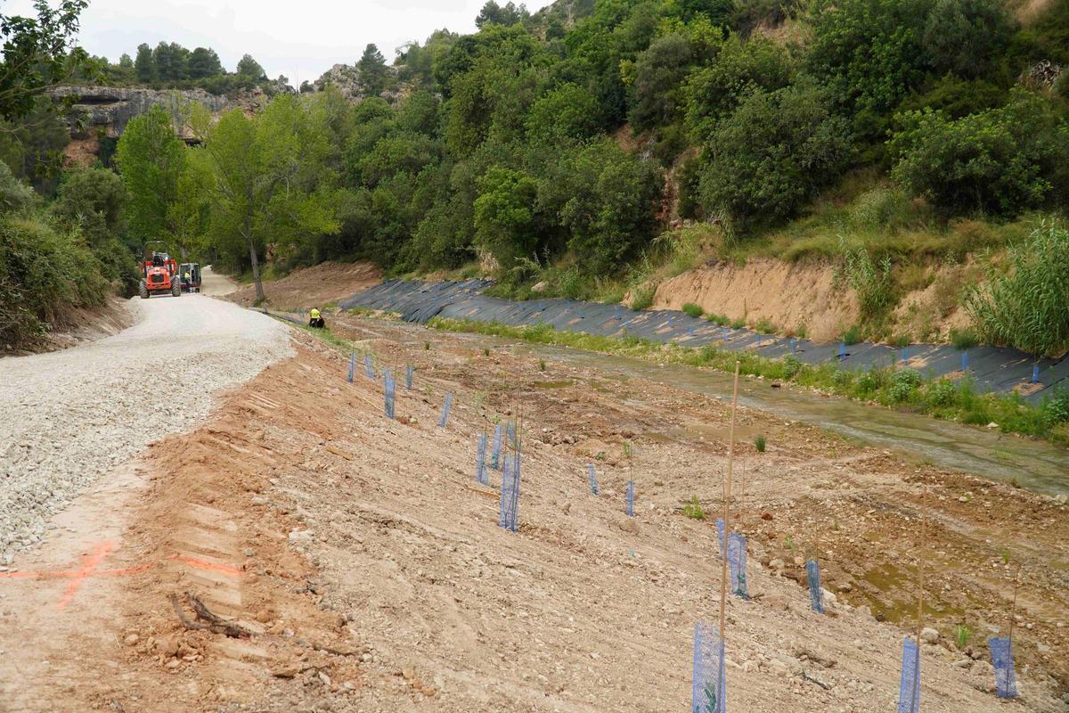Replantación río Juanes.