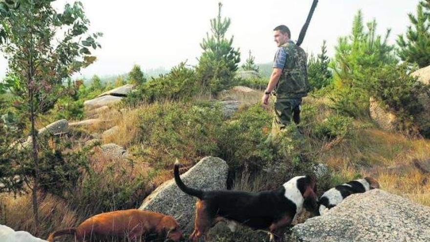 Los aficionados a la caza menor volverán a los montes arousanos a partir del domingo.  // Iñaki Abella
