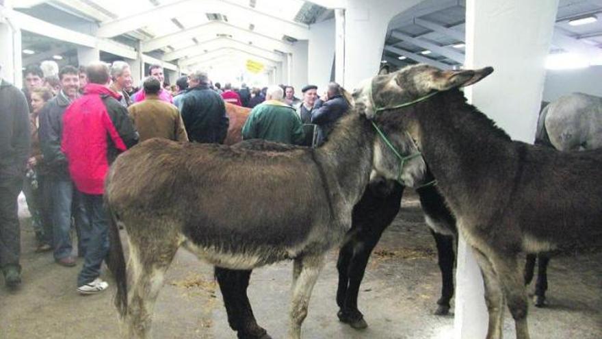 Ambiente, el año pasado, en la feria ganadera de San José, en Tineo.