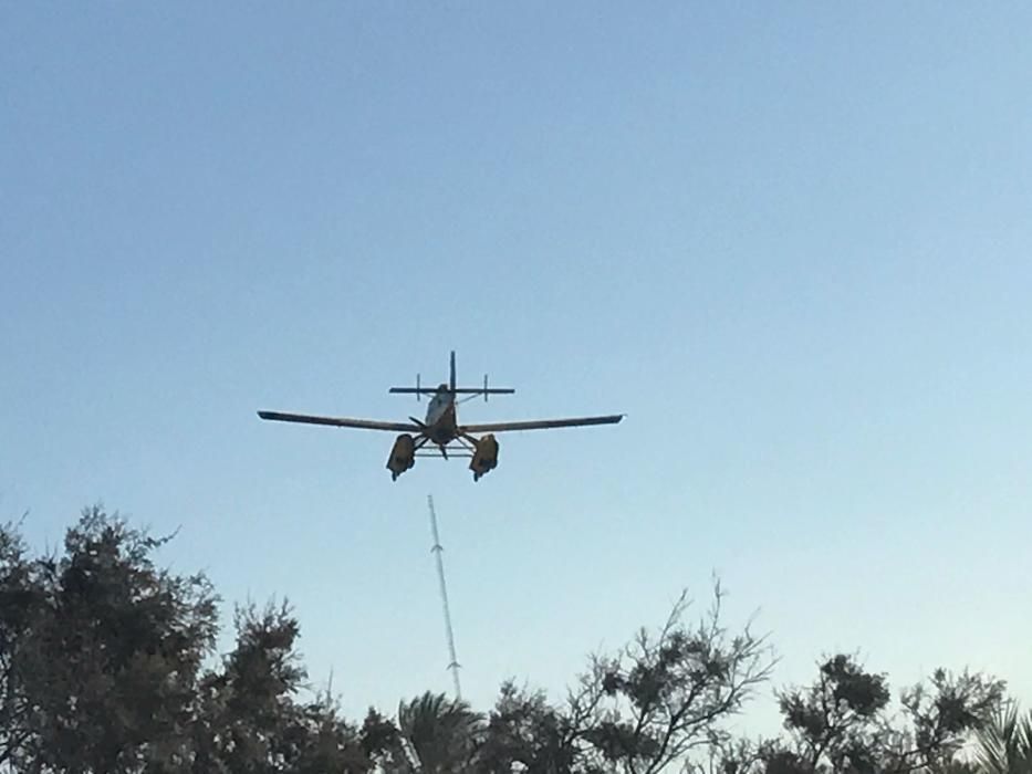 Un nuevo incendio afecta a la pinada de Guardamar