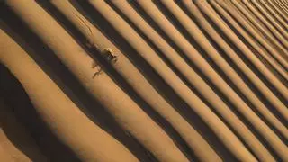 La duna más alta del mundo, un popular rider y la ayuda del viento: toda la historia de la mejor fotografía del Memorial "María Luisa"