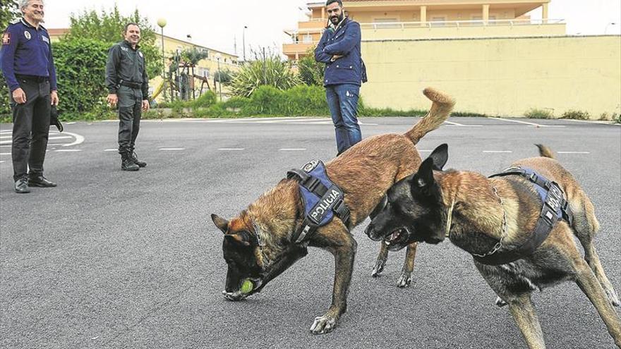 La unidad canina ha realizado más de 1.200 incautaciones de droga