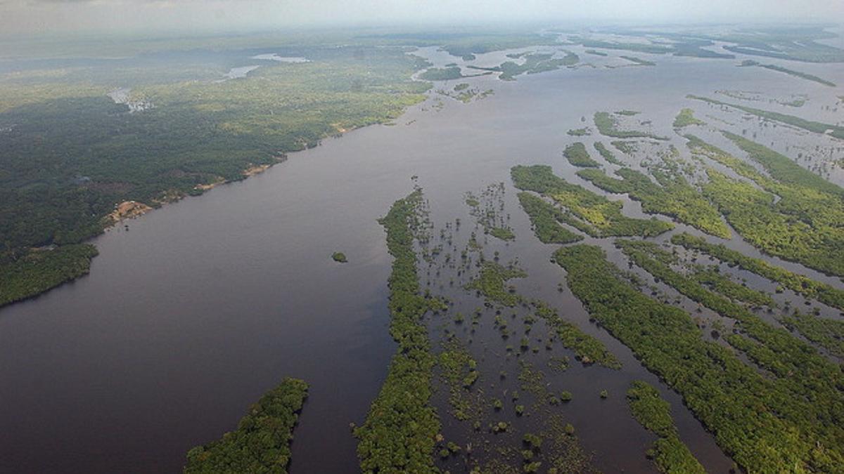 La Amazonia brasileña.