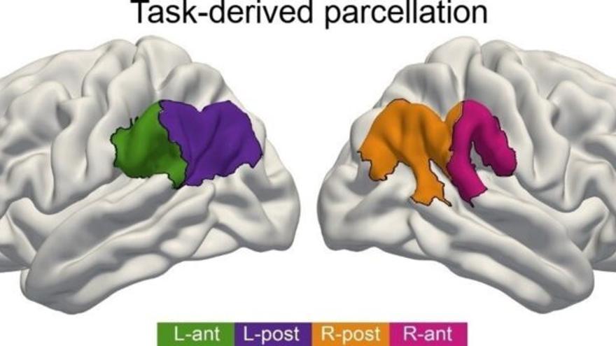 Identifican las claves cerebrales que nos permiten interpretar el mundo