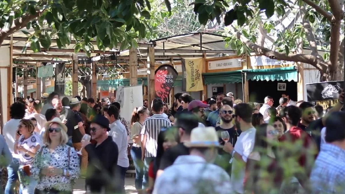 La Mostra de Proava celebra su trigésimo quinta edición en el cauce del río Turia.