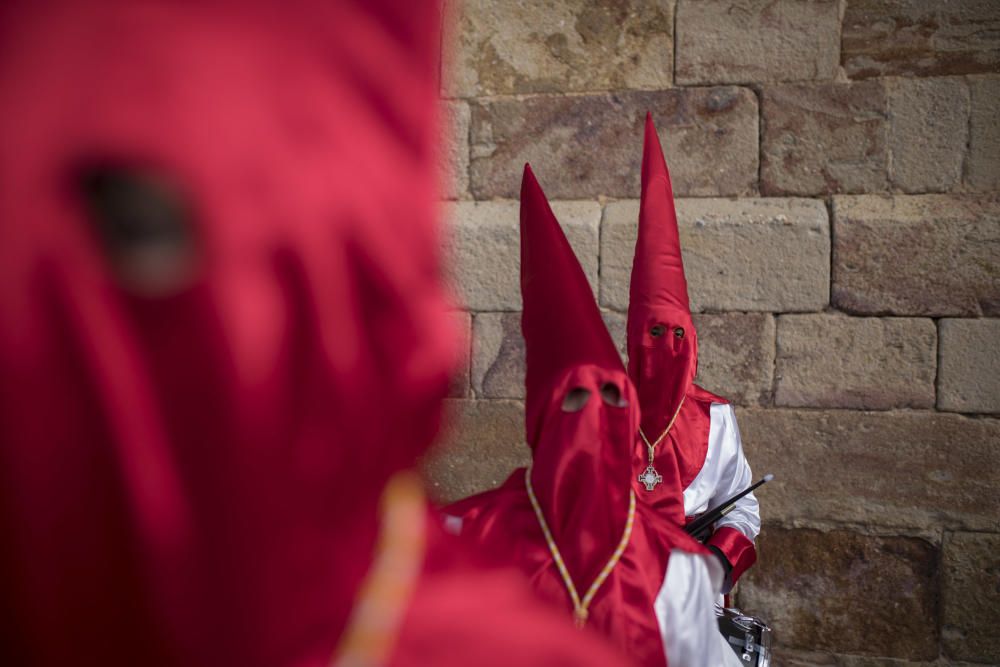 Semana Santa en la provincia 2019 | Domingo de Ram