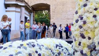 Guía para visitar Flora 2023 en Córdoba: horarios, espacios, artistas y programa paralelo