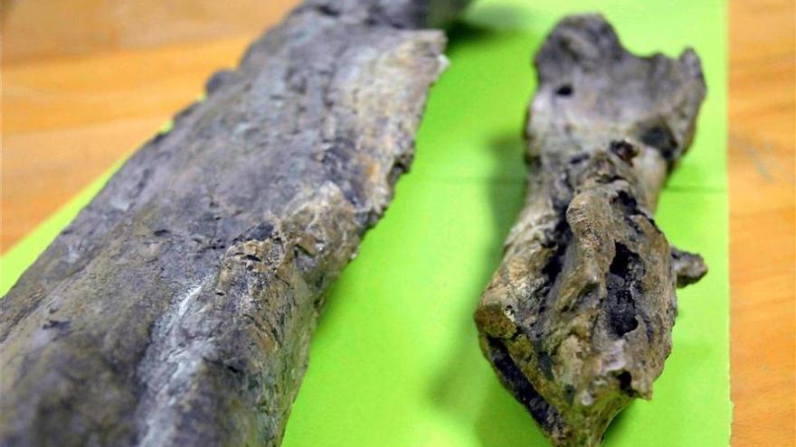 Una investigación liga al primer dinosaurio hallado en España con un delta