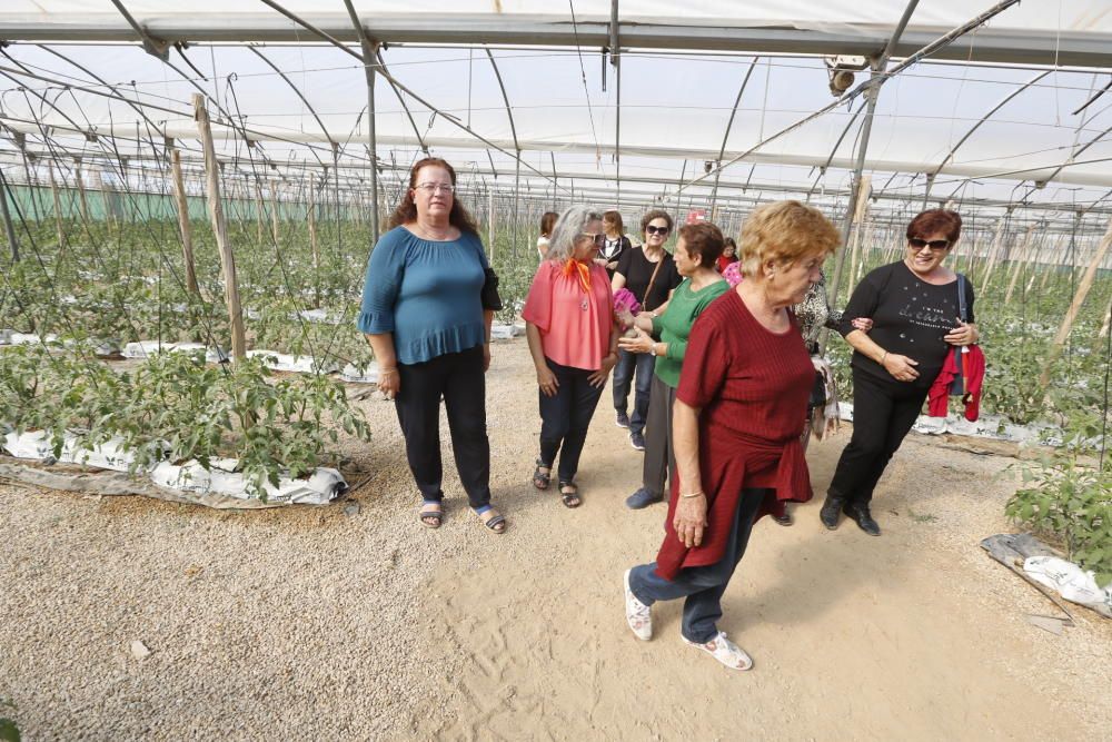 Elche celebra el Día de la Mujer Rural