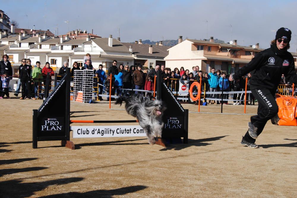 Festa de Sant Antoni a Solsona