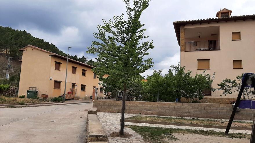 Olmos de laboratorio de Alaquàs para recuperar paisajes de Teruel