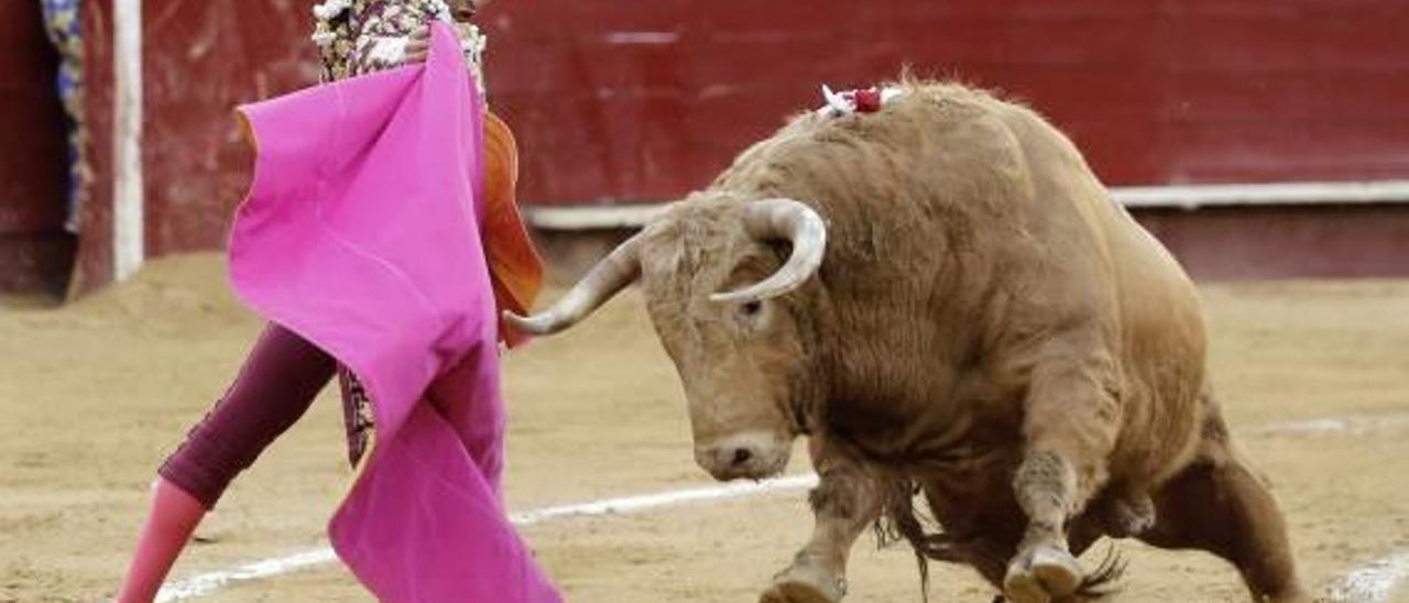 Sin emoción no hay Manzanares