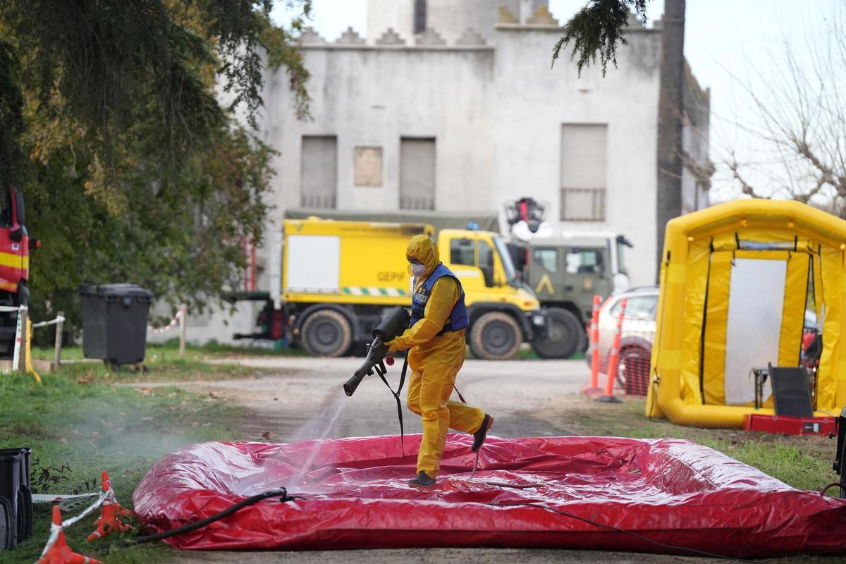 Trabajadores de la UME, durante el operativo para tratar de controlar el brote de fiebre porcina africana en Barcelona.