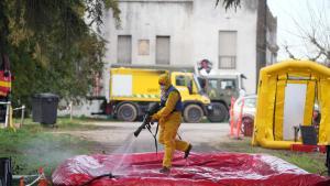 Trabajadores de la UME, durante el operativo para tratar de controlar el brote de fiebre porcina africana en Barcelona.