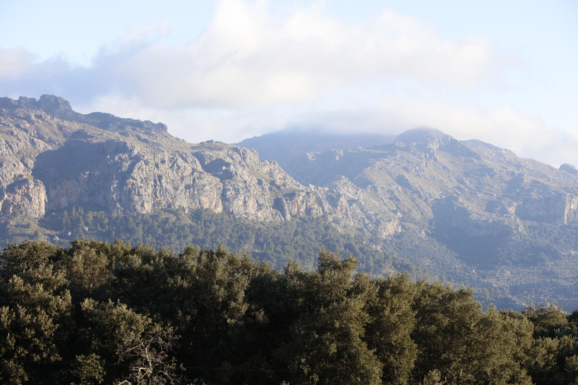 Die sonnige Tramuntana macht Lust auf Mallorca-Urlaub im Winter