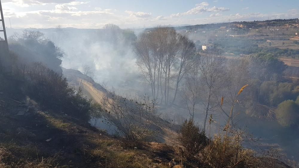 Incendio parque fluvial del Turia en Manises