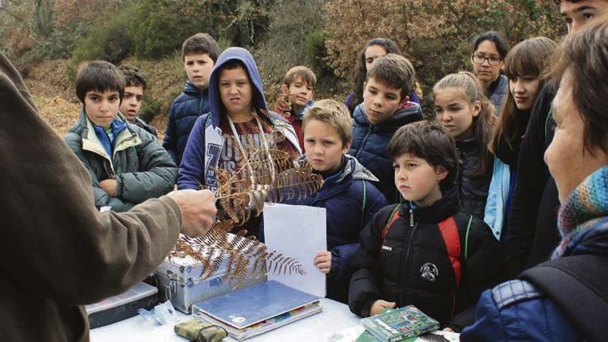 Participantes de la primera fase de las &quot;Aulas de Naturaleza&quot; aprenden en una de las actividades destinadas a la creación de un herbario por parte de los alumnos con la recolección de ejemplares en su propio hábitat.