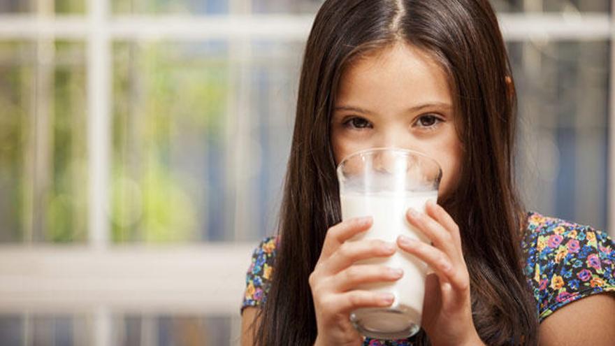 La leche de vaca previene sobrepeso y obesidad