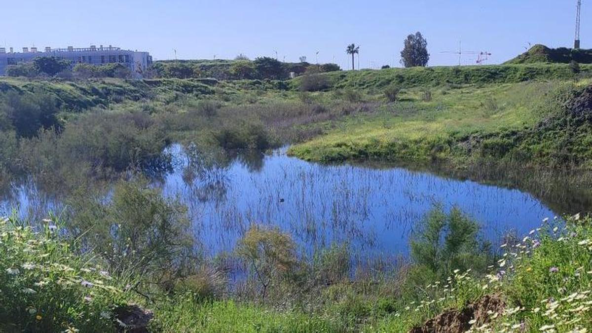 Foto reciente de la Laguna de Soliva