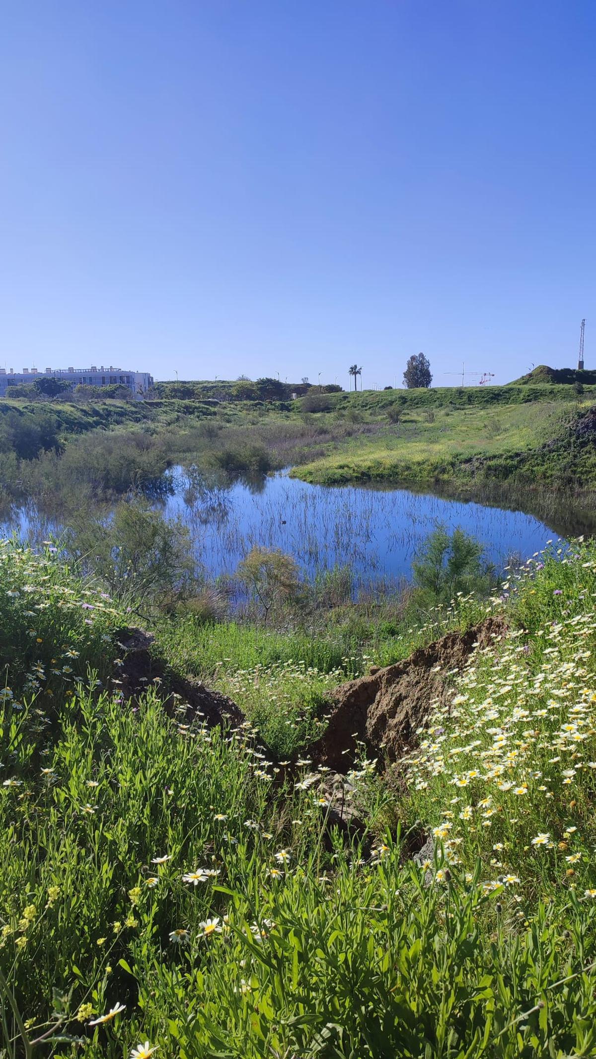 Imagen actual de la laguna de Soliva.