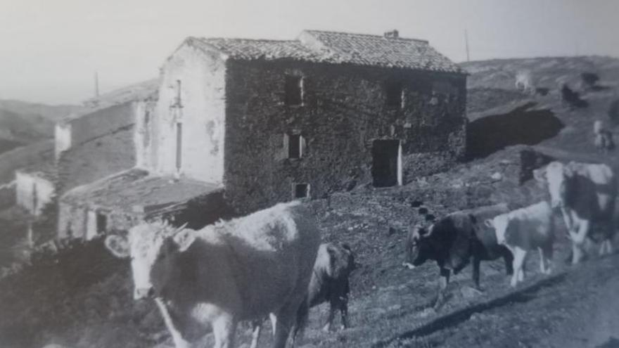 Una imatge antiga del Mas dels Arbres extreta del llibre &quot;Els masos perduts del Cap de Creus&quot;, d&#039;Arnald Plujà.