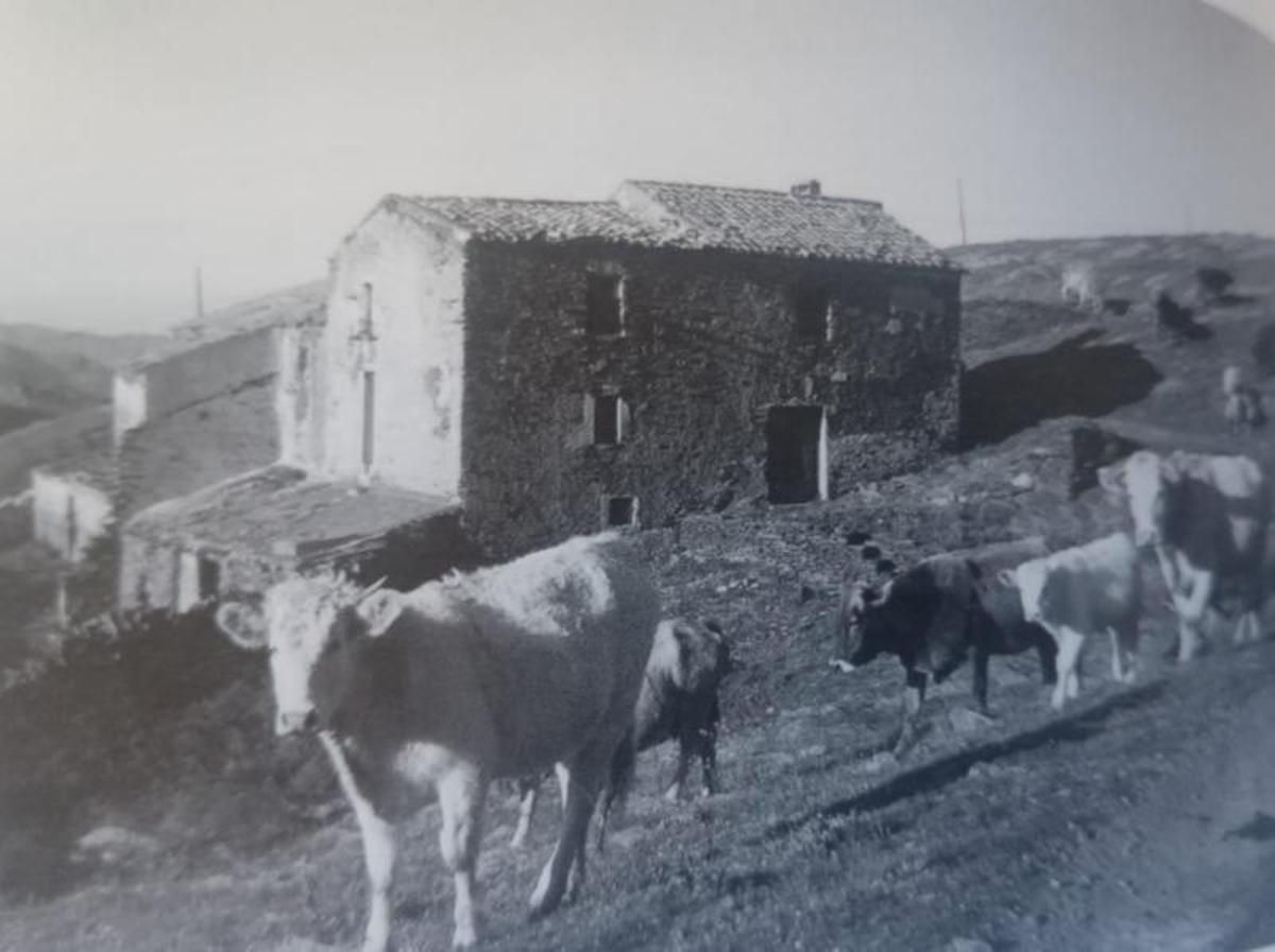 3 Una imatge antiga del Mas dels Arbres. F  | «ELS MASOS PERDUTS DE CAP DE CREUS», D’ARNALD PLUJÀ