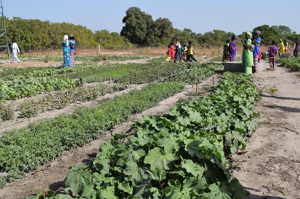 Figueres viatja a Senegal per fer seguiment dels projectes en marxa