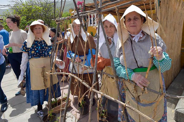 Feria de las tradiciones en el Rincón de ...