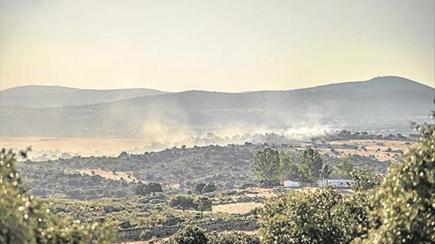 Un incendio quema 50 hectáreas en el berrocal