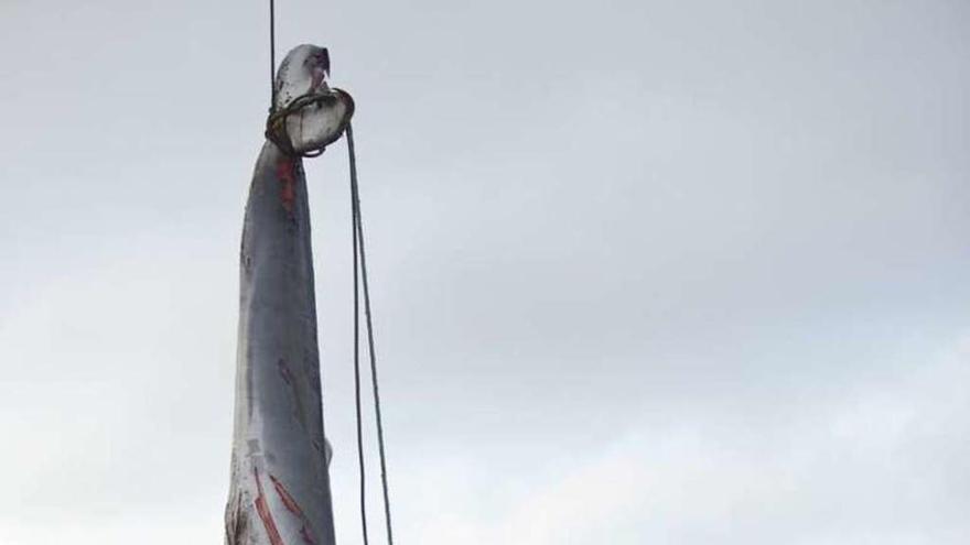 El &quot;Alonso de Chaves&quot; recogiendo el cuerpo de la ballena.