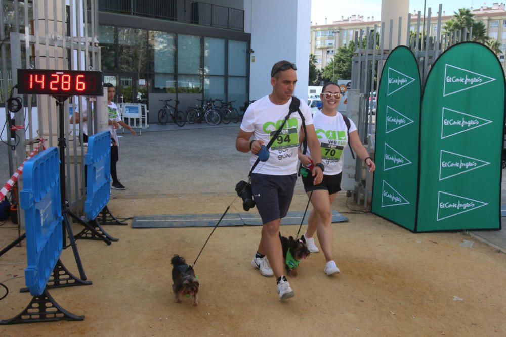 El Parque Huelin ha acogido la primera edición de un evento destinado a las mascotas y a sus dueños, con carreras en diversas categorías, actividades gratuitas y numerosos stands